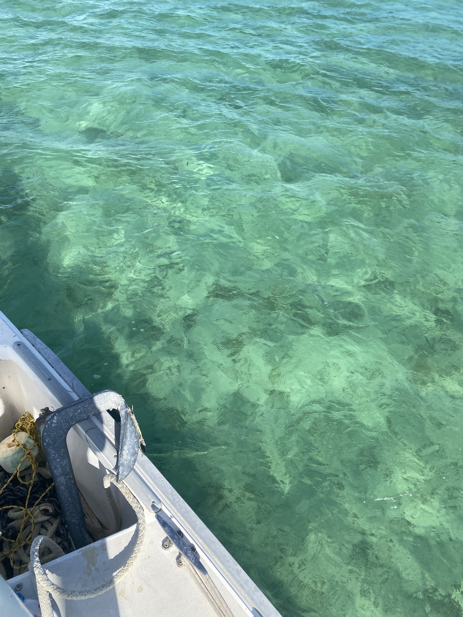 Expedition Update 2/18